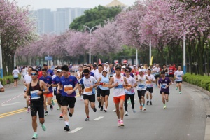 广西中超富硒米茶(广西富硒米哪个好)-硒宝网
