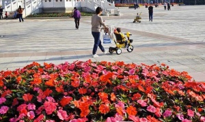 广西中超富硒米茶(广西富硒米哪个好)-硒宝网