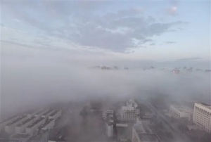 广西中超富硒米茶(广西富硒米哪个好)-硒宝网