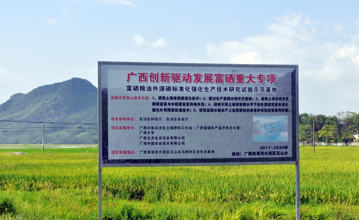 广西中超富硒米茶(广西富硒米哪个好)-硒宝网