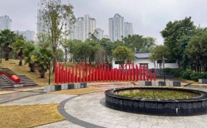 广西中超富硒米茶(广西富硒米哪个好)-硒宝网