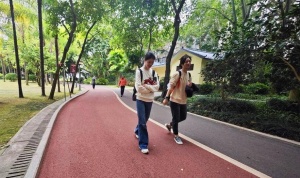 广西中超富硒米茶(广西富硒米哪个好)-硒宝网