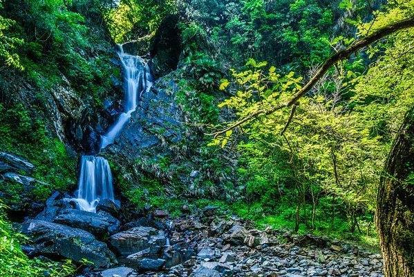西黄山富硒茶博园(黄山富硒属于哪个县)-硒宝网