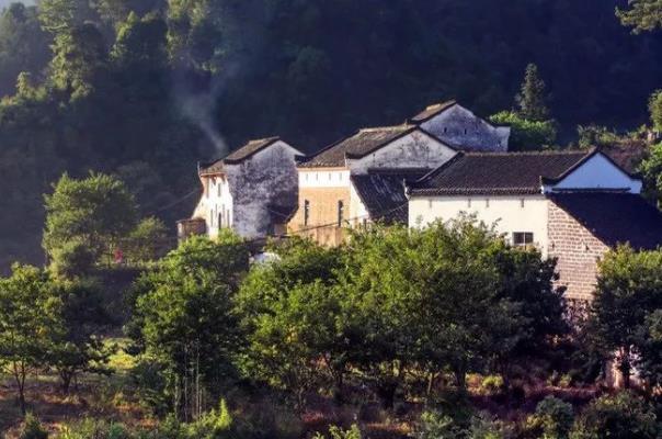 西黄山富硒茶博园(黄山富硒属于哪个县)-硒宝网