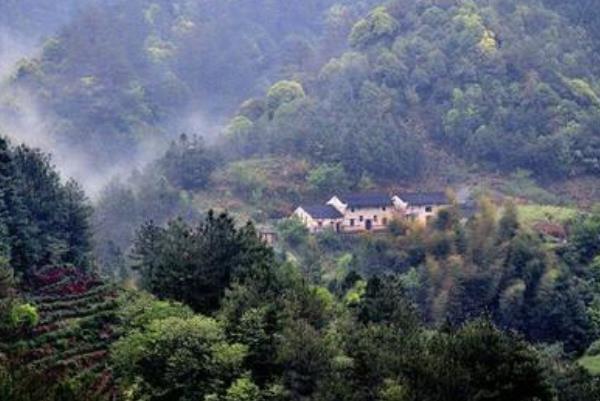 西黄山富硒茶博园(黄山富硒属于哪个县)-硒宝网