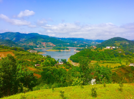 富硒茶陈鸿昌场地(富硒茶的作用与功效)-硒宝网