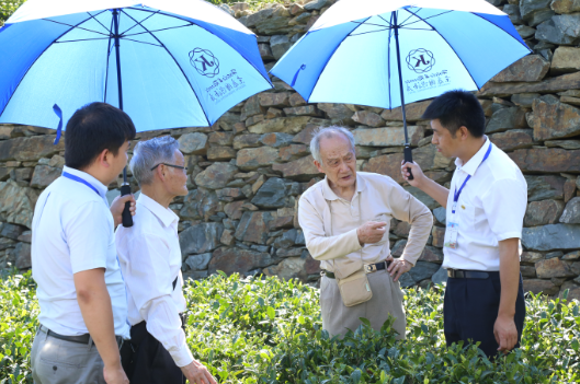 富硒茶陈鸿昌场地(富硒茶的功效与作用)-硒宝网