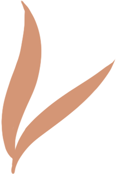 大明山富硒有机茶(大明山茶厂攻略)-硒宝网