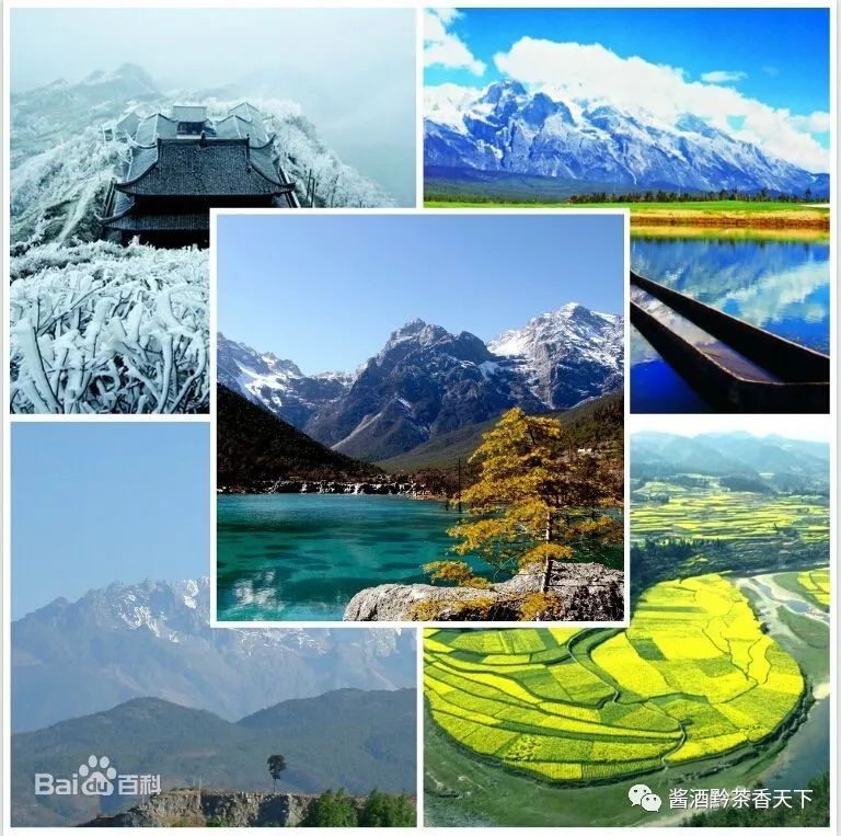 崇明凤岗富硒锌茶(凤冈锌硒茶饮料)-硒宝网