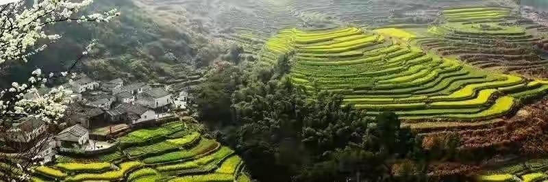 仙人尖富硒茶价各（仙人尖石台硒茶价格表）-硒宝网