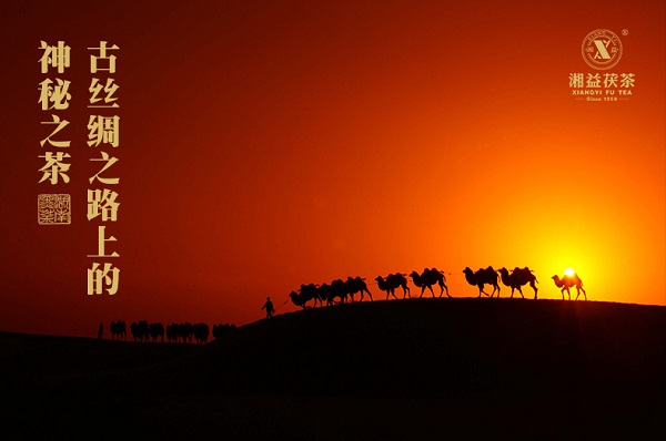 平昌西兴镇富硒茶(西坪茶厂)-硒宝网