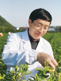 哪些地方有富硒茶（富硒茶叶产地）-硒宝网