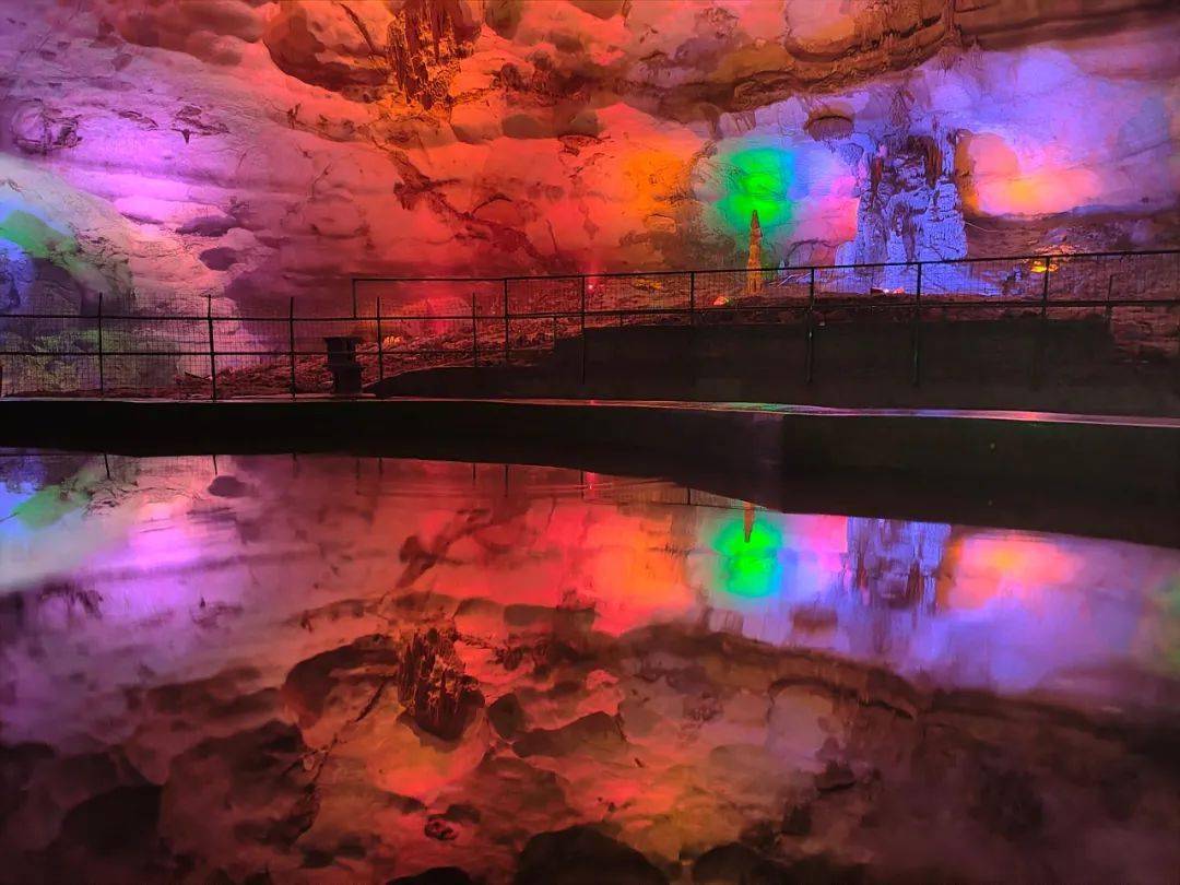 仙寓山富硒茶历史(仙寓山野生茶)-硒宝网