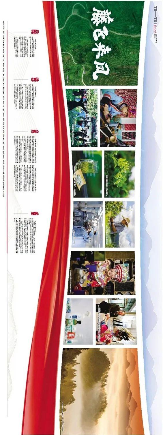 硒都富臻藤茶总店(珍硒藤茶)-硒宝网