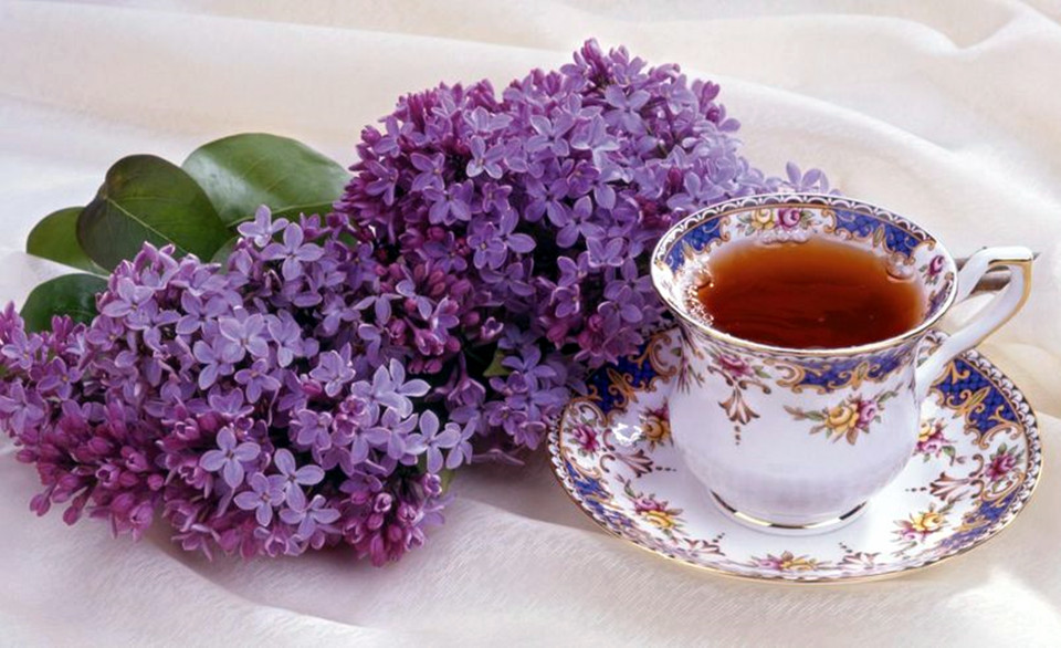 吉林富硒茶生产商（富硒茶批发）-硒宝网