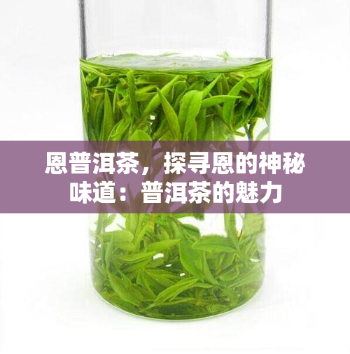 富硒茶的应用情况（茶叶富硒）-硒宝网