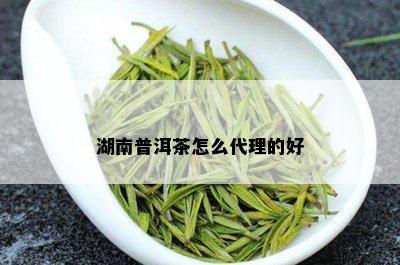 采茶匠富硒普洱茶(云南匠茶工坊普洱生茶)-硒宝网