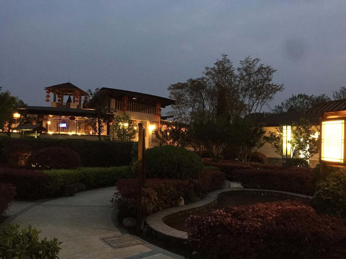 仙寓山富硒茶历史(仙寓茶叶)-硒宝网