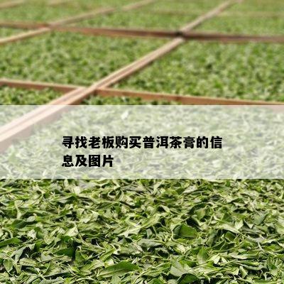 采茶匠富硒普洱茶(匠赋普洱茶)-硒宝网