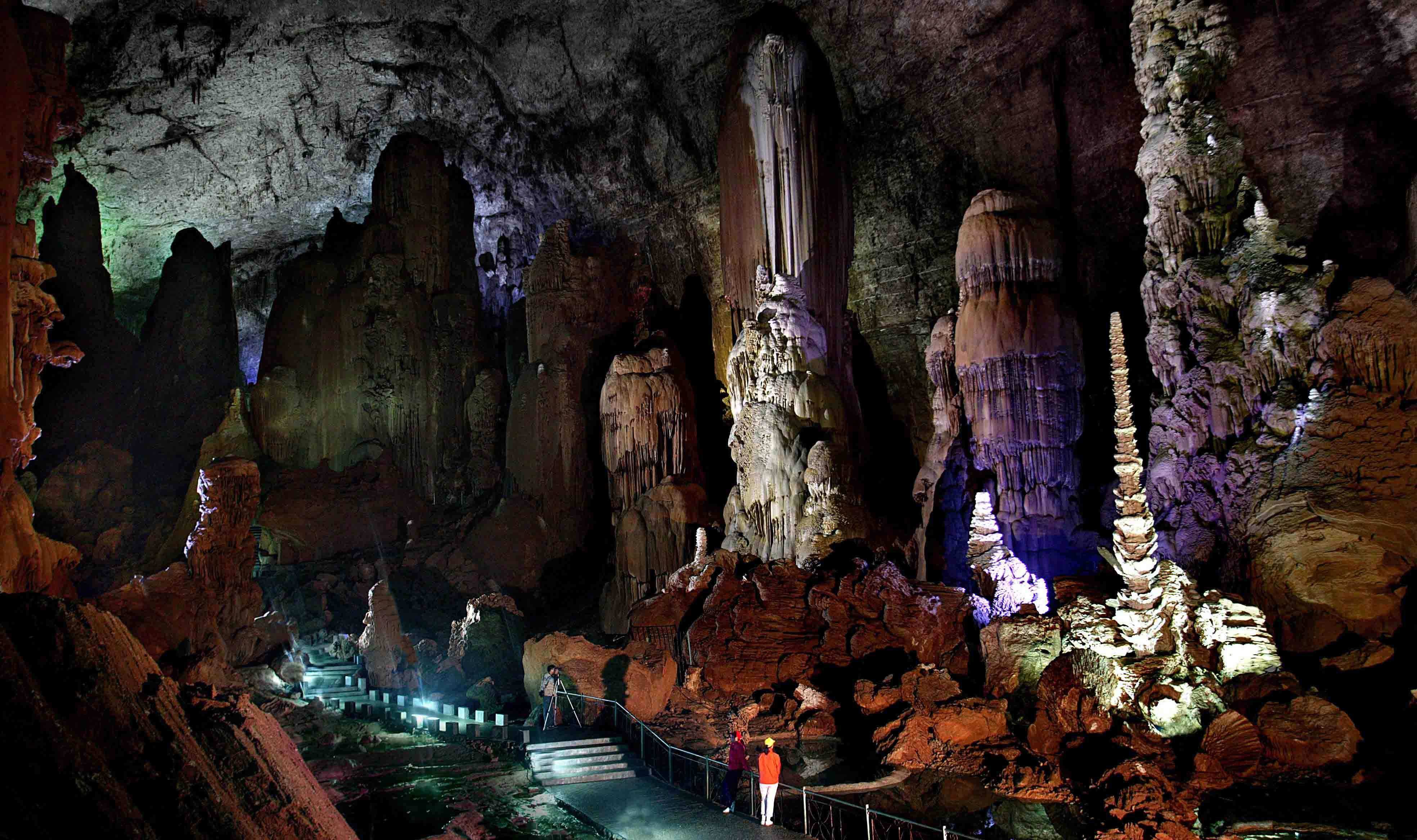 贵州雷神山富硒茶(贵州雷山茶厂茶叶价格)-硒宝网