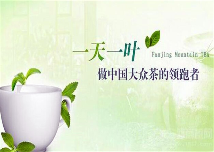 富硒叶茶加盟费用(茶叶加盟价格多少)-硒宝网