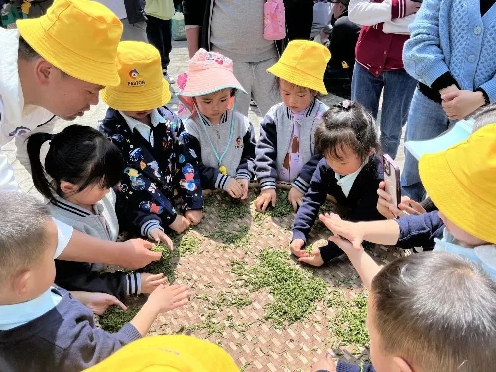 开阳富硒茶供应链(富硒茶)-硒宝网