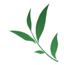 开阳富硒茶供应链(富硒茶)-硒宝网