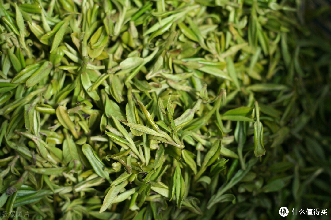 富硒茶陈茶能喝吗(茶能喝富硒陈皮水吗)-硒宝网