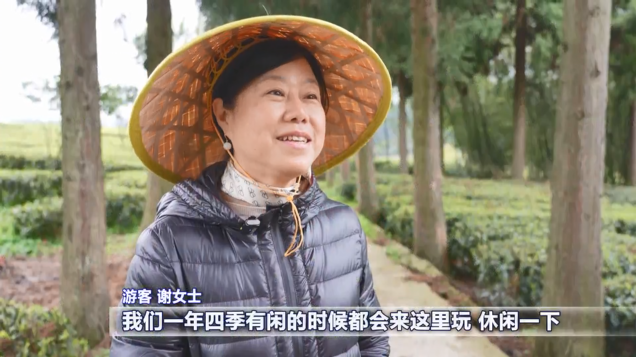 开阳富硒茶采摘期(开阳富硒茶园)-硒宝网