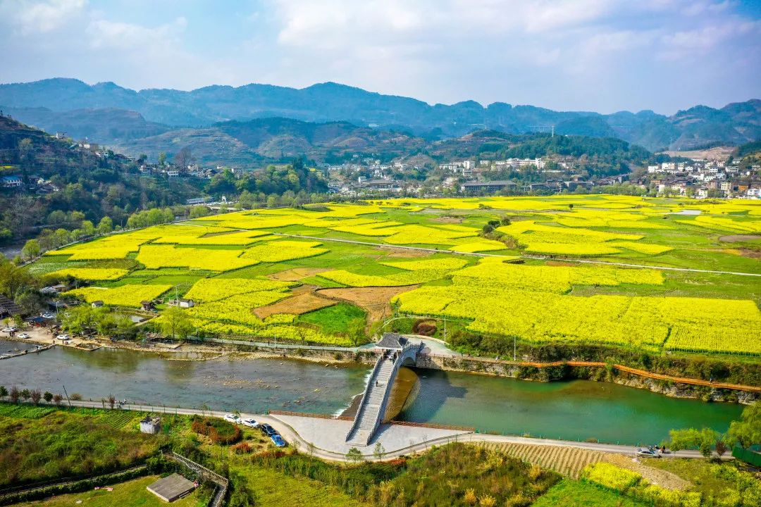 开阳富硒茶采摘期（开阳富硒茶地理标志）-硒宝网