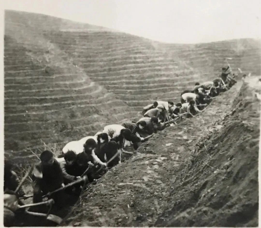 富硒茶消费者分析(富硒茶产业国内现状)-硒宝网