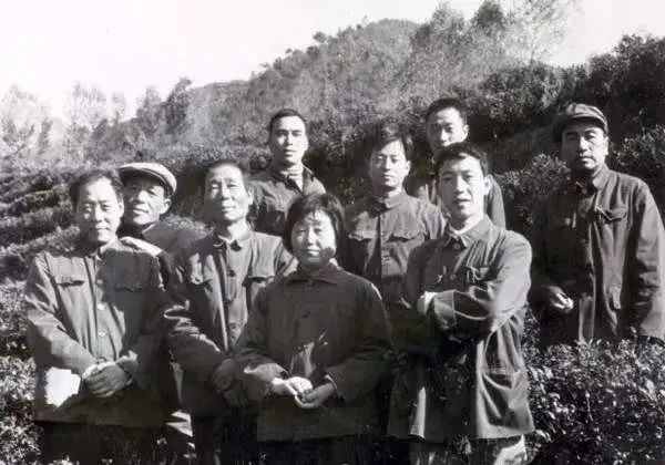 富硒茶消费者分析(富硒茶产业国内现状)-硒宝网