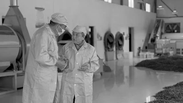 富硒茶消费者分析(富硒茶产业国内现状)-硒宝网