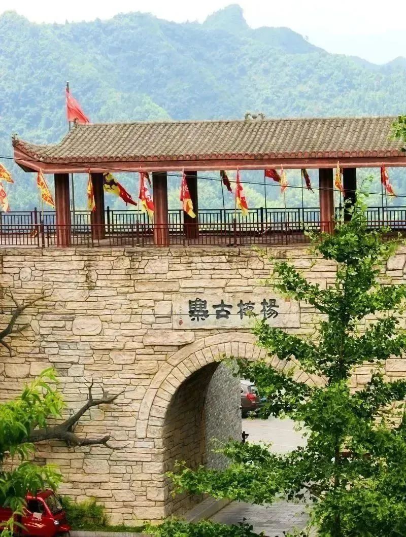 富硒藤茶和神仙草（原生态富硒藤茶）-硒宝网