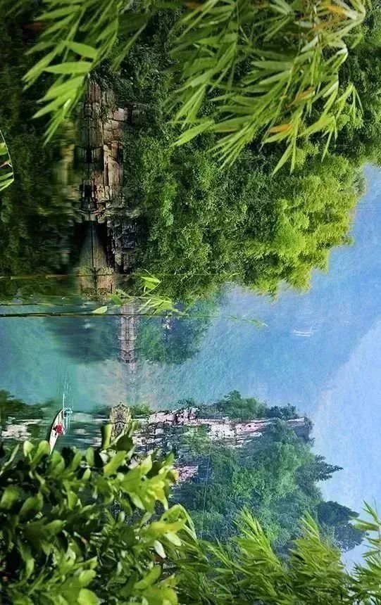 富硒藤茶和神仙草（原生态富硒藤茶）-硒宝网