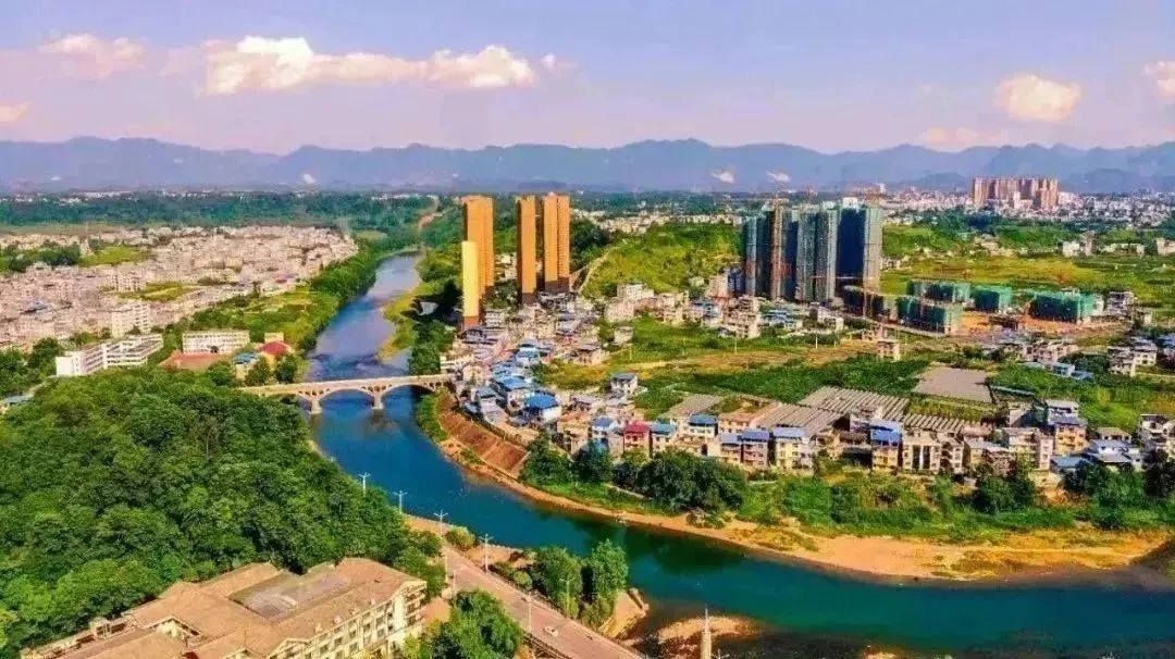 富硒藤茶和神仙草（原生态富硒藤茶）-硒宝网