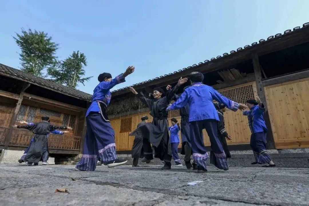 富硒藤茶和神仙草（原生态富硒藤茶）-硒宝网