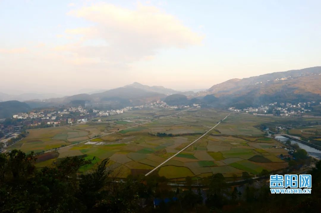 开阳富硒茶采摘期（富硒茶什么时候采摘）-硒宝网