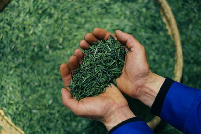 那个地方富硒茶好(富硒茶产品的市场分析)-硒宝网