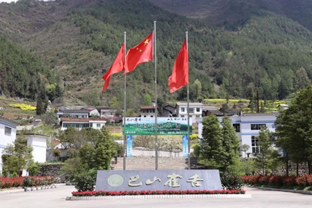 那个地方富硒茶好(富硒茶产品的市场分析)-硒宝网