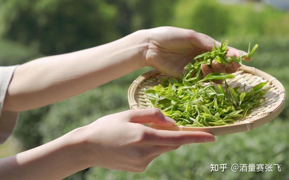 高山富硒茶的泡法(高山富硒茶多少钱一斤)-硒宝网