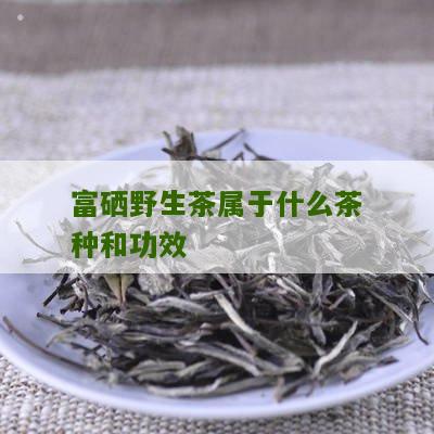 富硒野茶是绿茶吗（野生富硒绿茶）-硒宝网