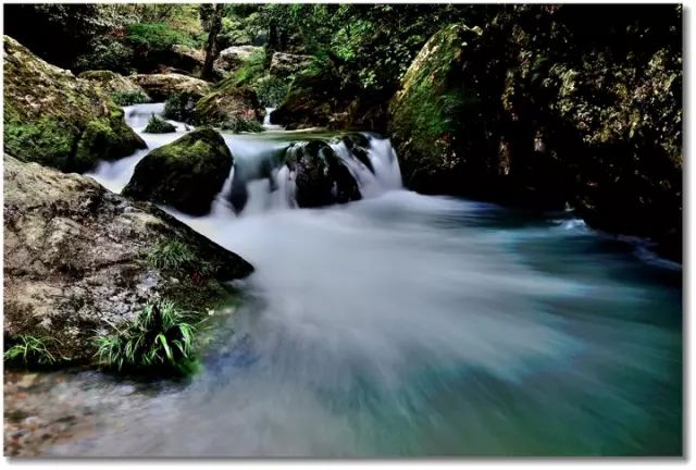 仙寓山石台富硒茶(仙寓山富硒茶怎么样)-硒宝网