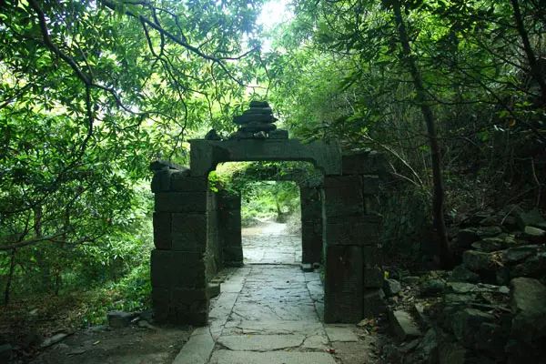 仙寓山石台富硒茶(仙寓山富硒茶怎么样)-硒宝网
