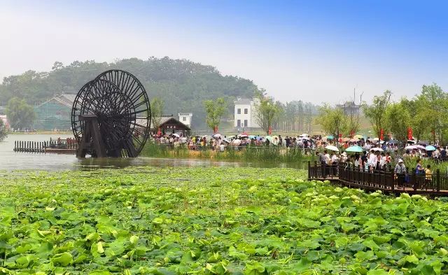 仙寓山石台富硒茶(仙寓山富硒茶怎么样)-硒宝网