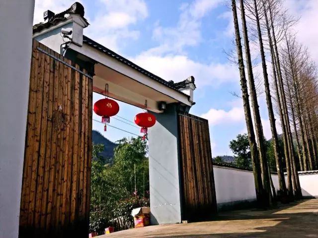 仙寓山石台富硒茶(仙寓山富硒茶怎么样)-硒宝网