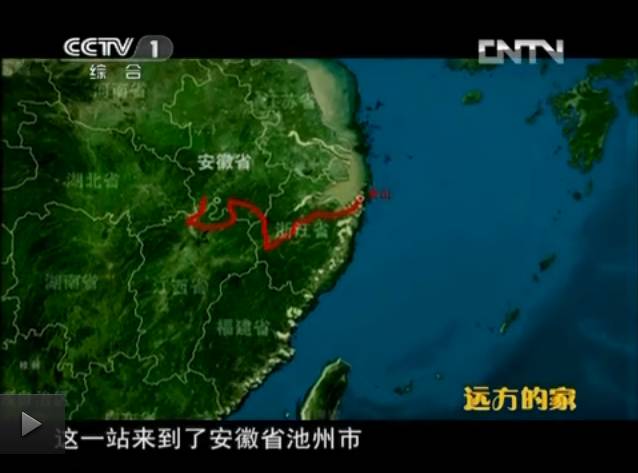 仙寓山石台富硒茶(仙寓山富硒茶怎么样)-硒宝网