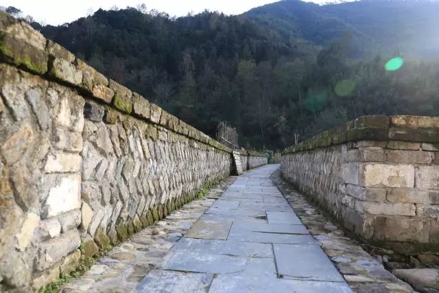 仙寓山石台富硒茶(仙寓山富硒茶怎么样)-硒宝网