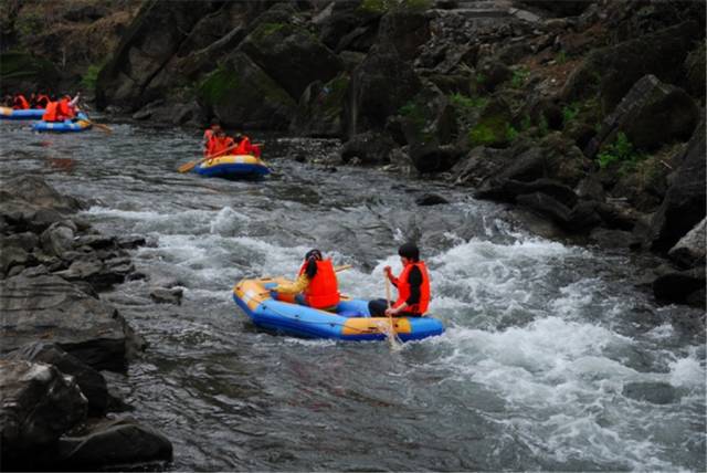 仙寓山石台富硒茶(仙寓山富硒茶怎么样)-硒宝网