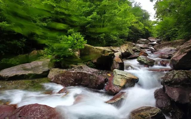 仙寓山石台富硒茶(仙寓山富硒茶怎么样)-硒宝网
